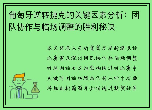 葡萄牙逆转捷克的关键因素分析：团队协作与临场调整的胜利秘诀