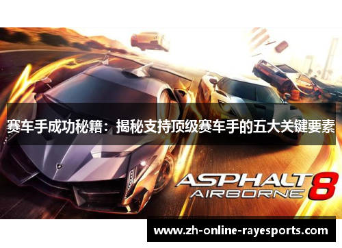 赛车手成功秘籍：揭秘支持顶级赛车手的五大关键要素