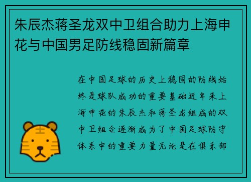 朱辰杰蒋圣龙双中卫组合助力上海申花与中国男足防线稳固新篇章